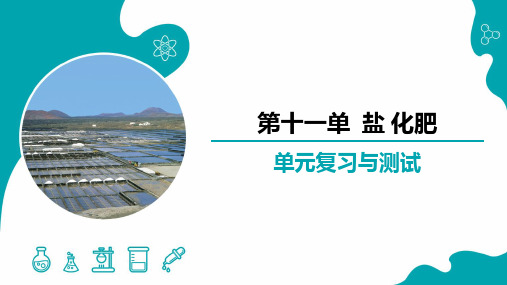 第十一单元 盐 化肥(复习课件)九年级化学下册(人教版)