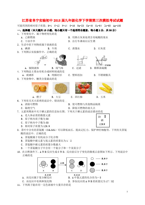 江苏省阜宁实验初中九年级化学下学期第三次模拟考试试题