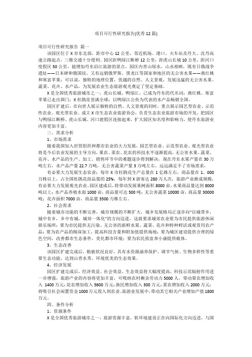 项目可行性研究报告(优秀12篇)