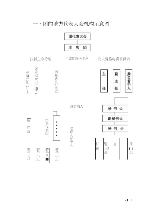 2020年(工作规范)团务工作手册流程_团的地方代表大会机构示意图