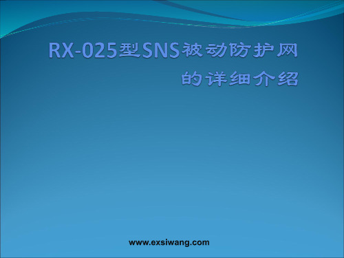 RX-025型SNS被动防护网的详细介绍