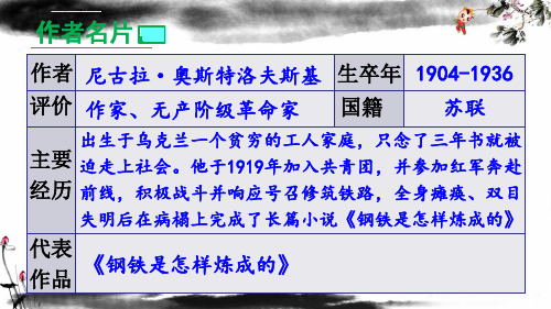 部编八下语文名著导读钢铁是怎样炼成的摘抄和做笔记ppt课件