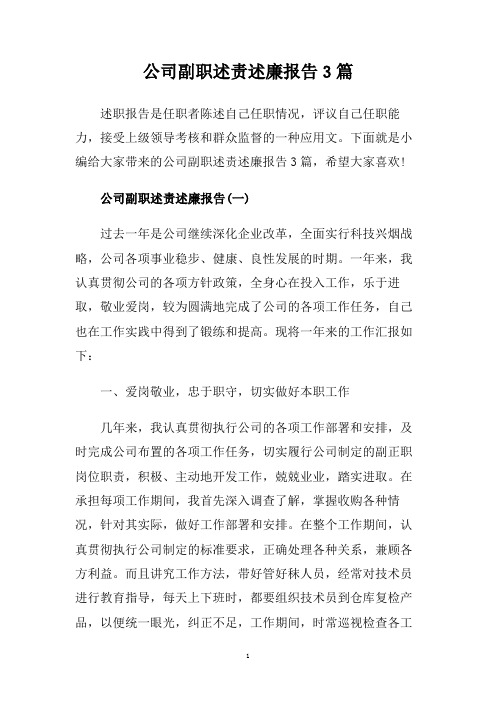 公司副职述责述廉报告3篇.doc