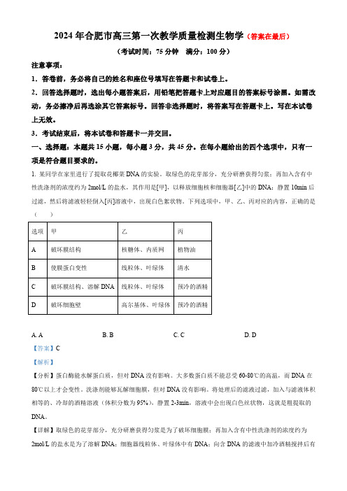 2024届安徽省合肥市高三一模生物试题含答案