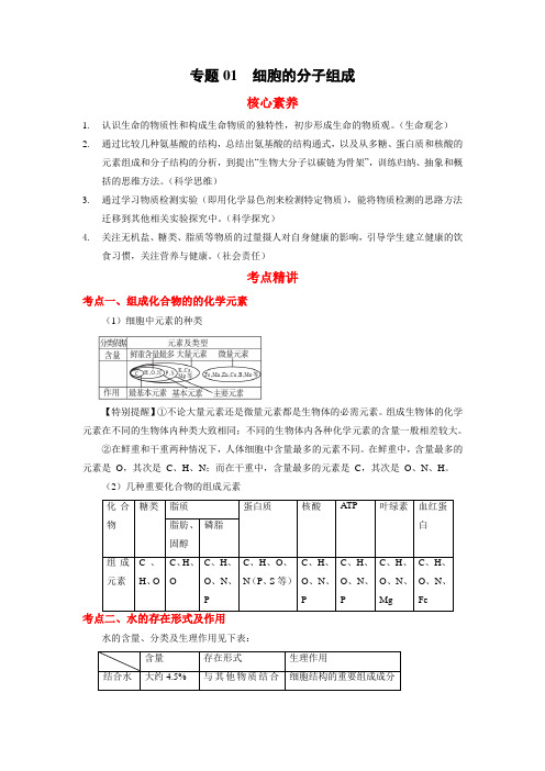 高考生物二轮复习核心考点 专题01 细胞的分子组成(含答案)