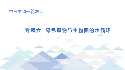 初中生物中考总复习课件：专题6 绿色植物与生物圈的水循环