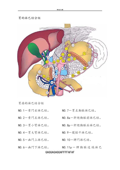 胃的淋巴结分组