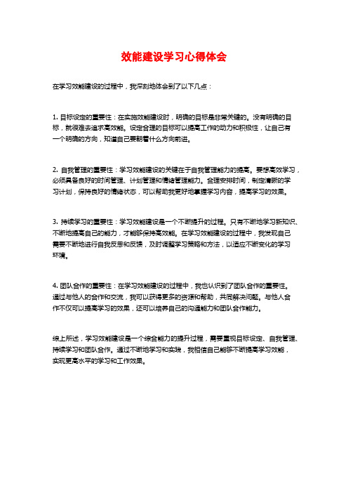 效能建设学习心得体会