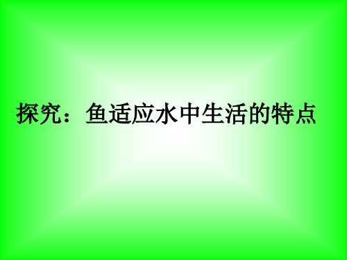 《鱼适应水中生活的特点》