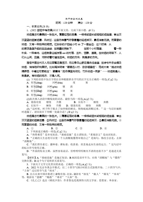 期中综合测试卷+++2022-2023学年部编版语文九年级下册