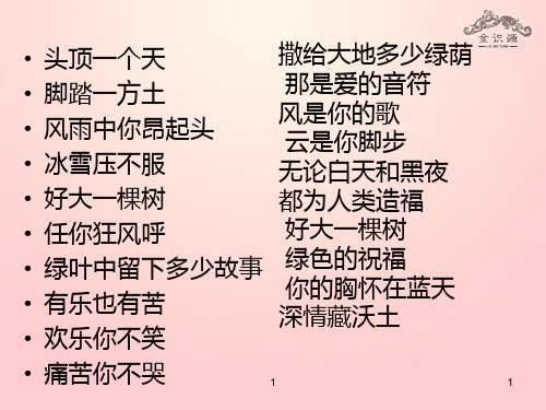 秋九级语文上册 第二单元 7《那树》课件 鲁教版五四制