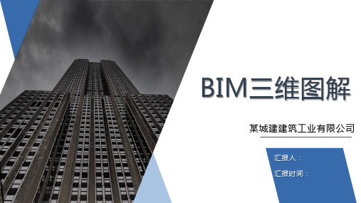 BIM三维图解