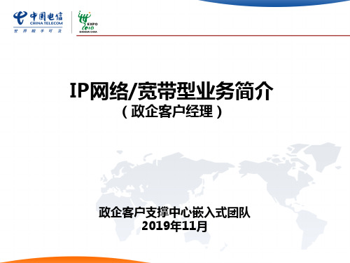 2019年-IP网络宽带型业务简介-PPT精选文档