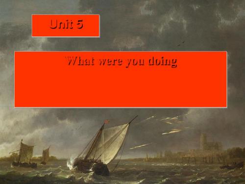 初二英语下册Unit5 What were you doing when the rainstorm came优秀版