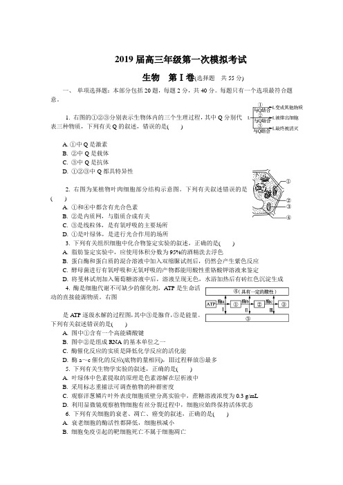 江苏省南京市、盐城市2019届高三第一次模拟考试(1月)生物Word版含答案