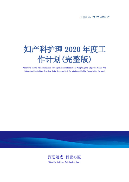 妇产科护理2020年度工作计划(完整版)