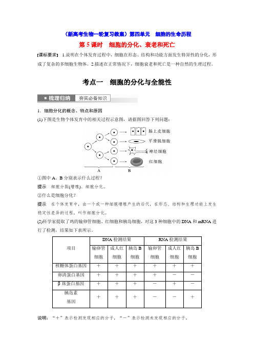 细胞的分化、衰老和死亡(新高考生物一轮复习教案)