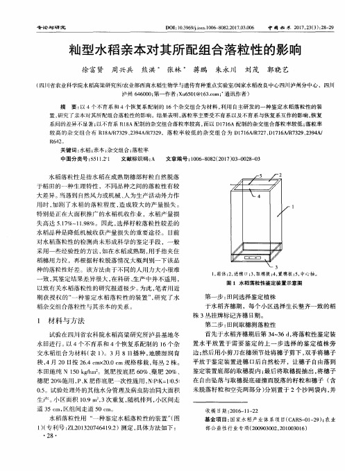 籼型水稻亲本对其所配组合落粒性的影响