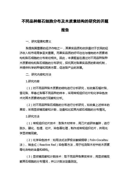 不同品种梨石细胞分布及木质素结构的研究的开题报告