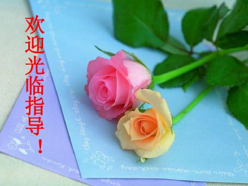 文章写作与修改同步教学课件ppt (8)