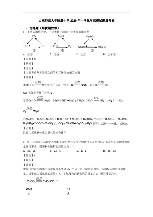 山东师范大学附属中学2020年中考化学三模试题及答案