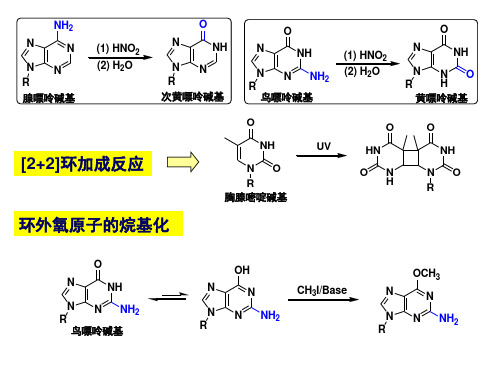 有机化学：金属参与催化的有机化学反应