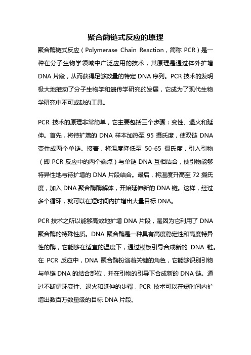 聚合酶链式反应的原理