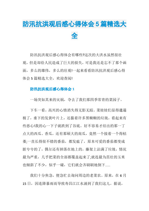 防汛抗洪观后感心得体会5篇精选大全