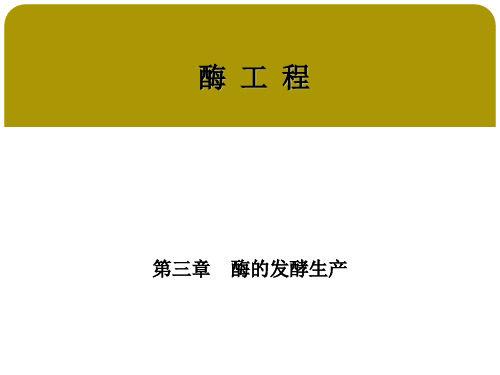 酶工程 第三章酶的发酵生产 第四节固定化细胞发酵产酶