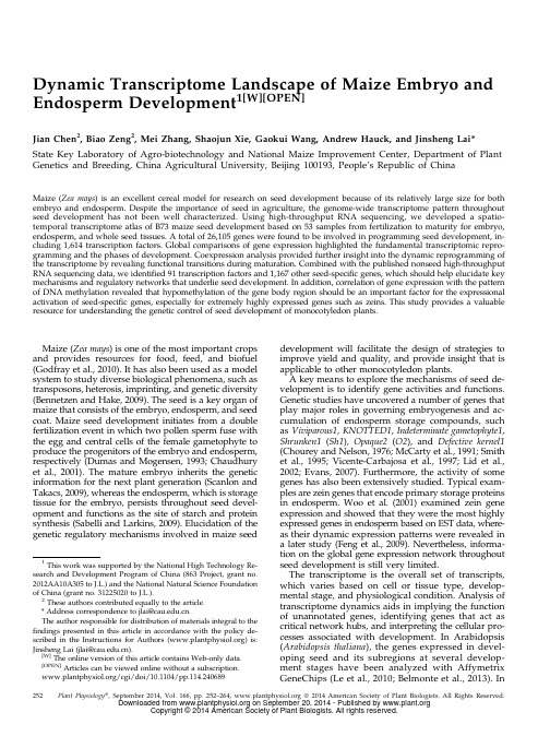 Dynamic Transcriptome Landscape of Maize Embryo and