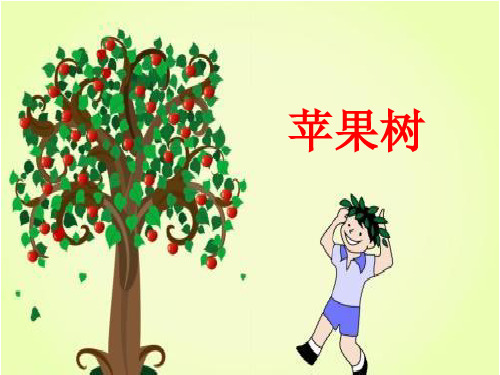 《苹果树》幼儿园大班语言PPT课件