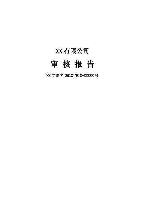 资产损失财务核销专项审核报告模版(仅直接在当期损益中核销的情况适用)