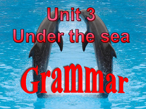选修7unit3 under the sea grammar
