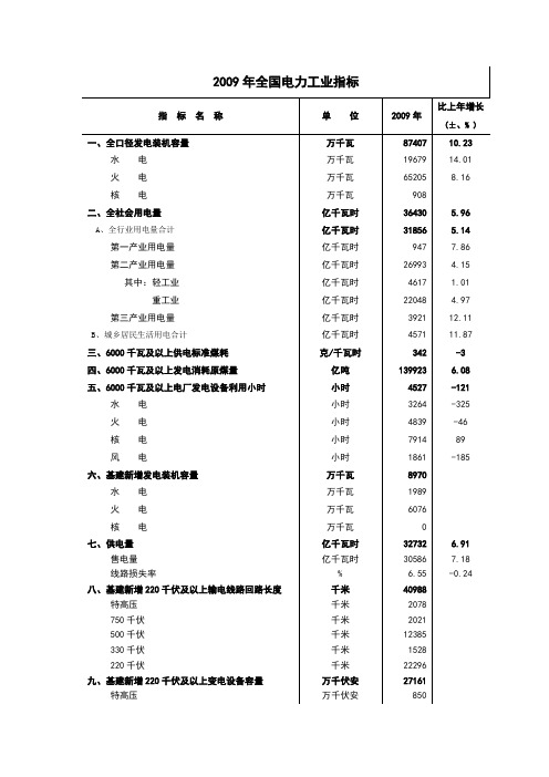 2009年电力工业统计数据