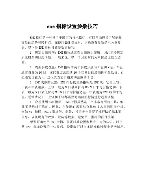 ene指标设置参数技巧