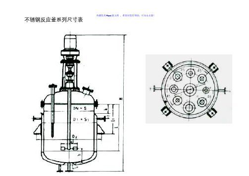 不锈钢反应釜系列尺寸表Word版