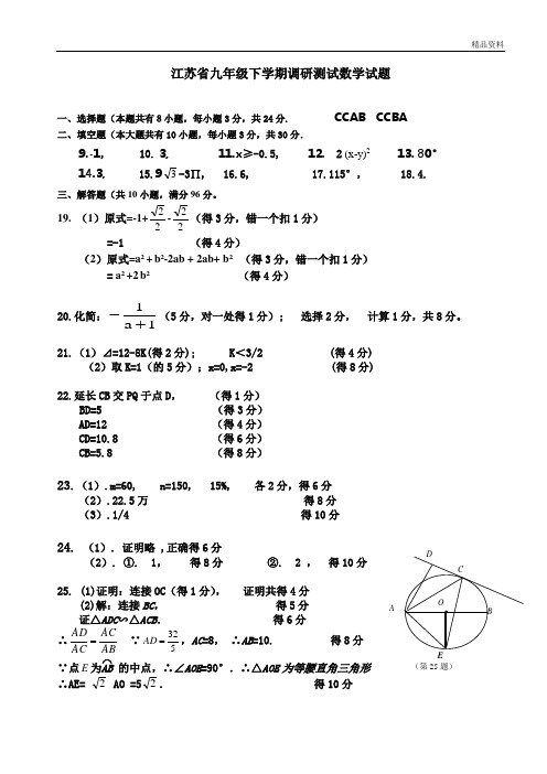 江苏省2020年九年级下学期调研测试数学试题