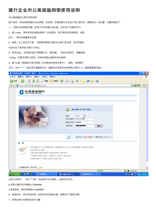 建行企业对公高级版网银使用说明