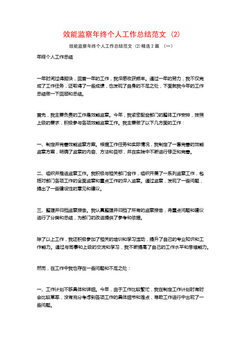 效能监察年终个人工作总结范文 (2)2篇