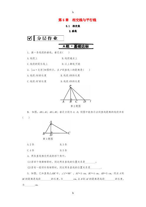 七年级数学上册 第5章 相交线与平行线 5.1 相交线 5.1.2 垂线练习 (新版)华东师大版