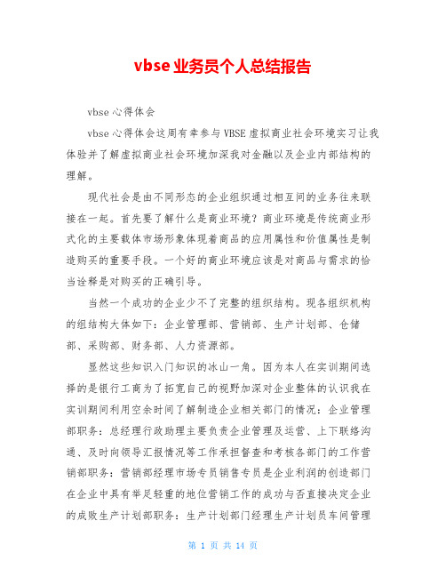 vbse业务员个人总结报告