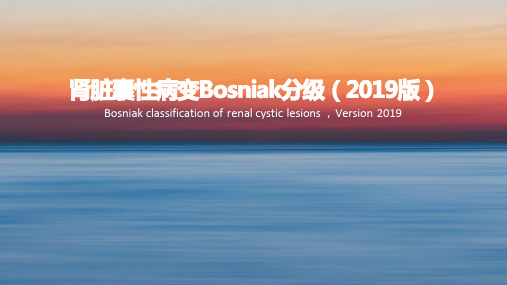 肾脏囊性病变Bosniak分级(2019版)