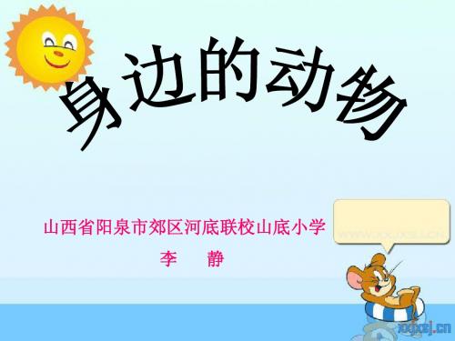 86948人教版小学三年级科学上册《身边的动物》课件