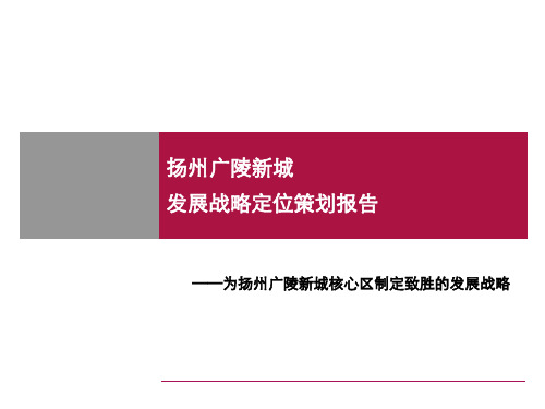 扬州广陵新城战略定位策划报告资料