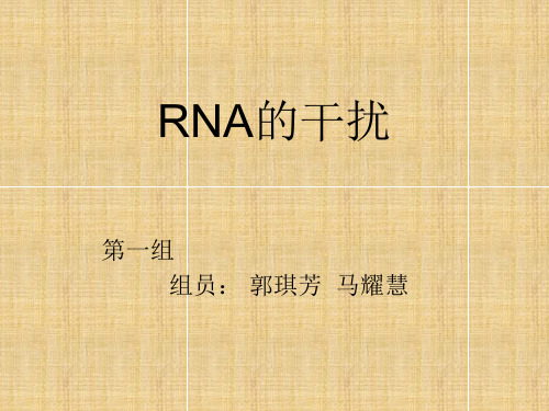 RNA干扰完整