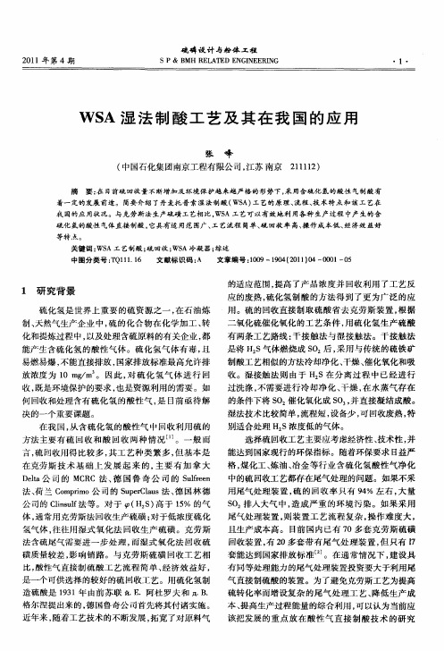 WSA湿法制酸工艺及其在我国的应用