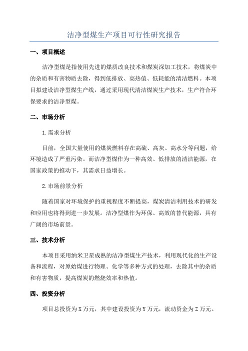 洁净型煤生产项目可行性研究报告