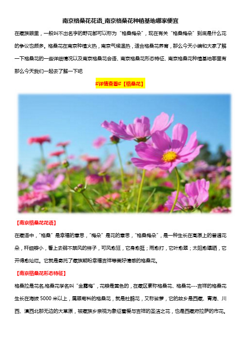 南京格桑花花语_南京格桑花种植基地哪家便宜