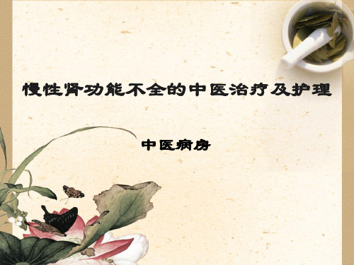 慢性肾功能不完整全中医治疗及护理