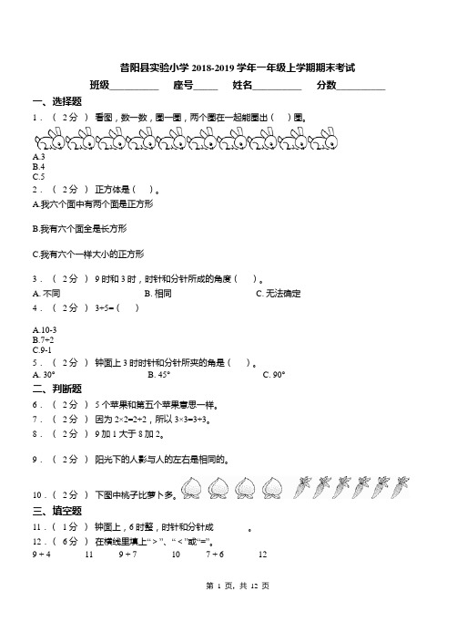 昔阳县实验小学2018-2019学年一年级上学期期末考试